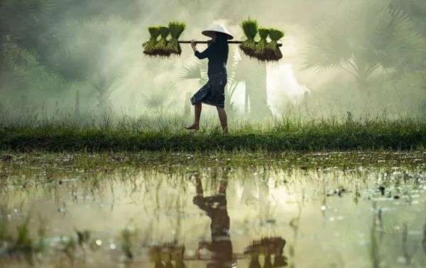 回歸鄉村,方知幸福 【輕鋼別墅】(圖3) 回歸鄉村,方知幸福 【輕鋼別墅】(圖3)