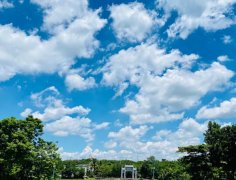 海南：放寬社會資本進入農村的限制！中國大農場時代來臨？