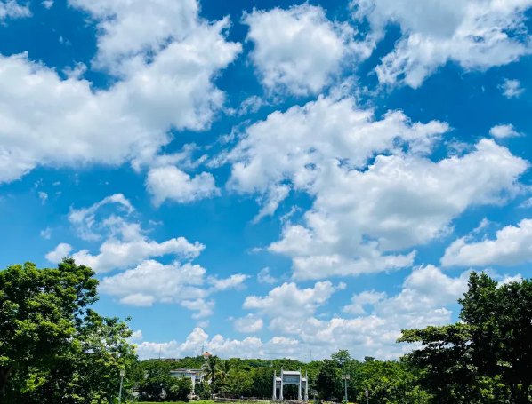 海南:放寬社會資本進入農村的限制!中國大農場時代來臨?(圖1) 海南:放寬社會資本進入農村的限制!中國大農場時代來臨?(圖1)